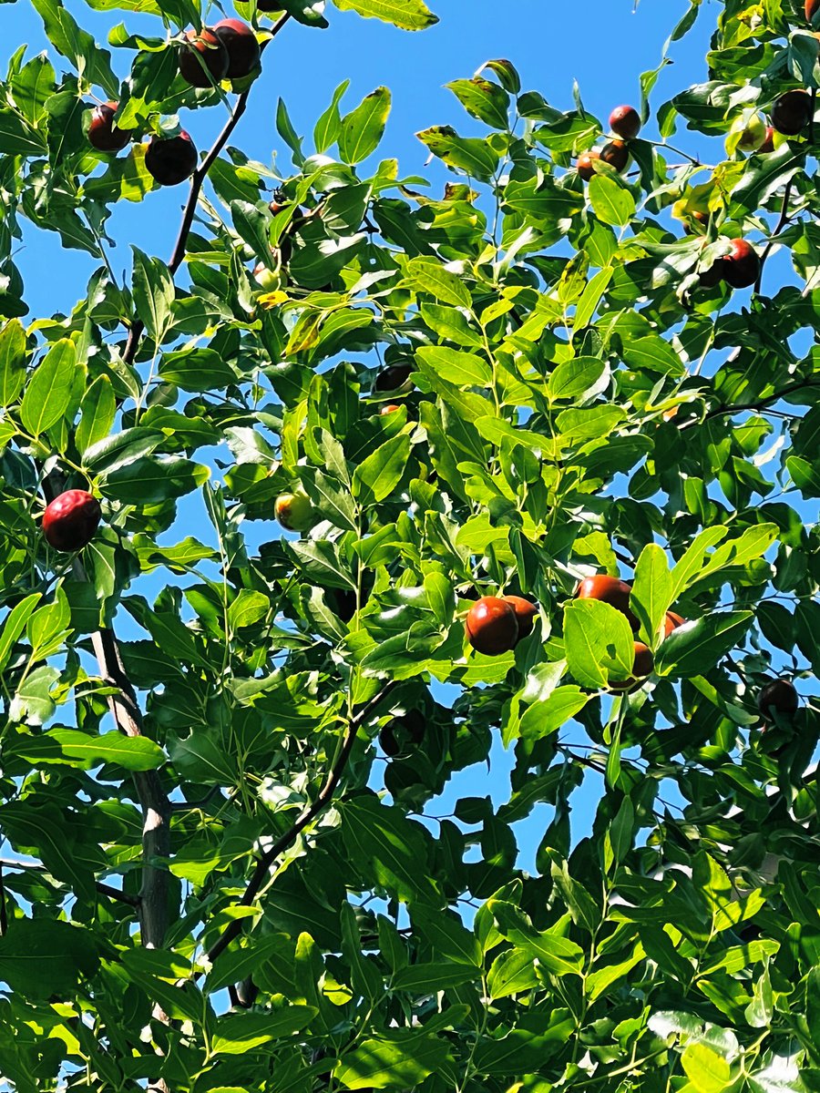 なゆたページⅡ 那由他＠読書中 on X