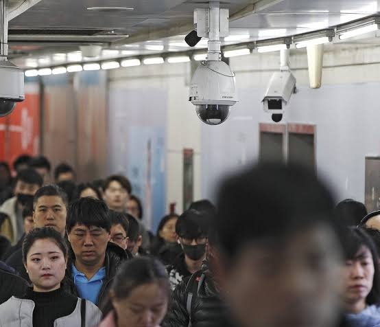 Gratitude DNA tweet media