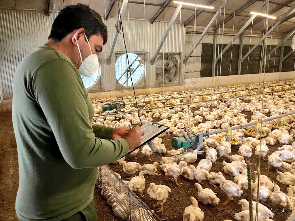 #Guayas | 🐔 Realizamos inspección técnica a granjas avícolas en Bucay para la obtención del Certificado Zoosanitario de Producción, Movilización y Funcionamiento, fortaleciendo la bioseguridad y el estatus sanitario del país. ✅
#PrevenciónSanitaria