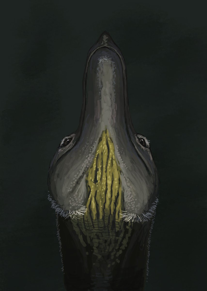 JoschuaKnuppe's tweet photo. Results from tonights Flocking #paleostream! 
Nanotyrannus, Pteranodon, Phosphorosaurus and Helicoprion! https://t.co/kQdqixQsJZ