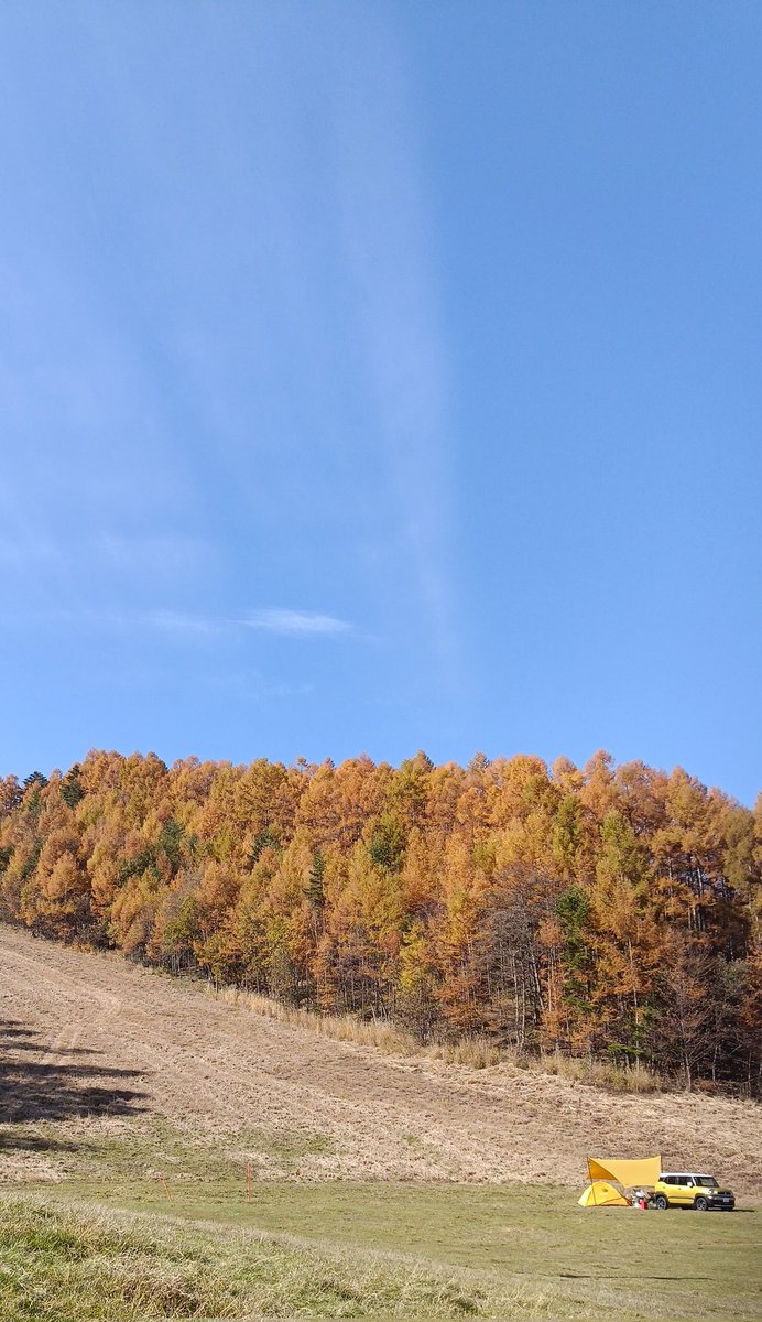 hinode_opt's tweet image. 小海星フェス2日目始まりました。
紅葉が綺麗です。
ぜひお越し下さい。

#星フェス　#日の出光学