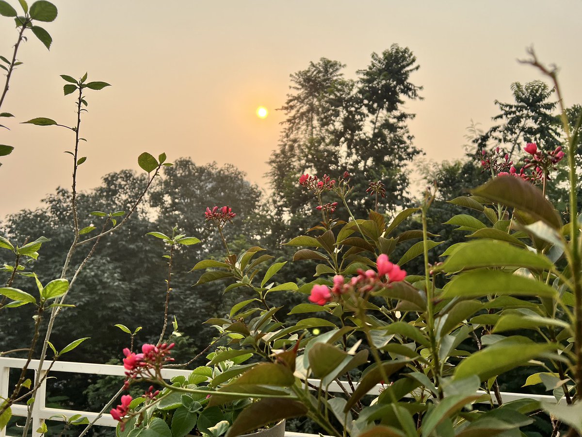 #GoodMorning #राम_राम