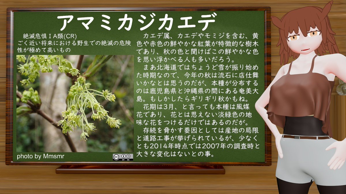 コタン・コロ@絶滅危惧種系VTuber tweet media