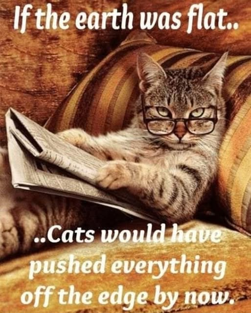 Librarian Fella (@librarianfella) on Twitter photo 