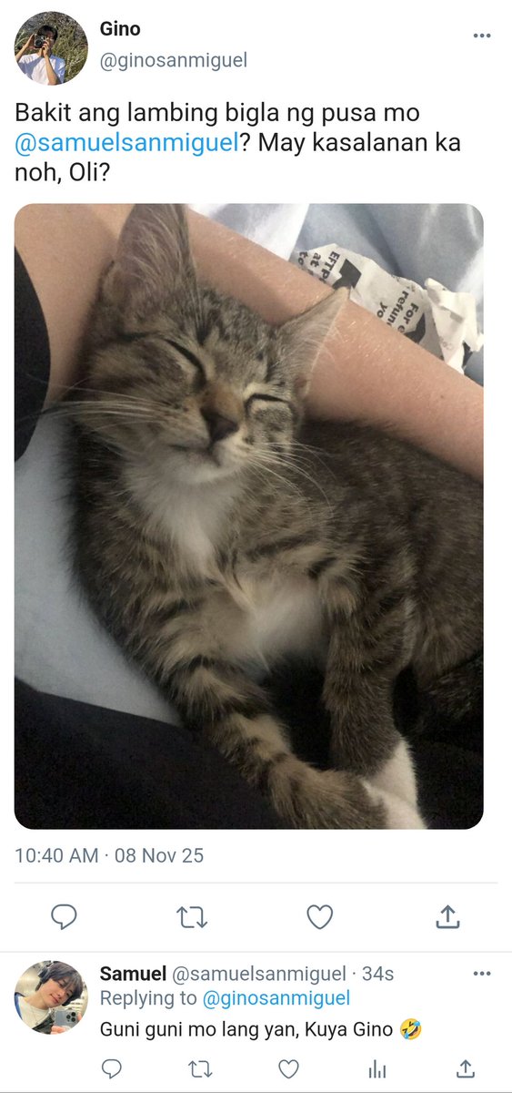 ccicciccu's tweet image. Furmeow parent
#geonxin ft. #sixsevenz filo short au

On his way home from the province, Abbey noticed his cat had gotten heavier. Turns out she was pregnant, and the father was his neighbor’s cat, Samuel, Gino’s brother… who also happened to be Abbey’s crush.