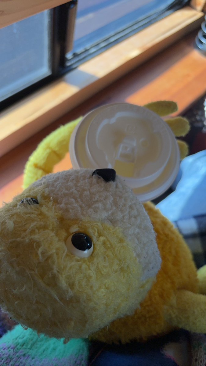 flatFUCKINeric's tweet photo. morning soup in the car
yes, corn soup. yellow one, ha! https://t.co/uOvXZHhTaY