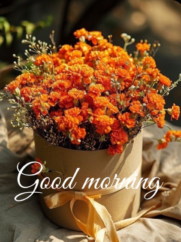 Өглөөний мэнд ❤️❤️❤️