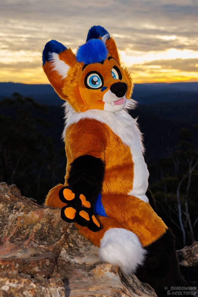 It's cold up here, come over here and let the fox warm you up🧡
#FursuitFriday #furry
📸: <a href="/coltofox/">Colto Fox</a>