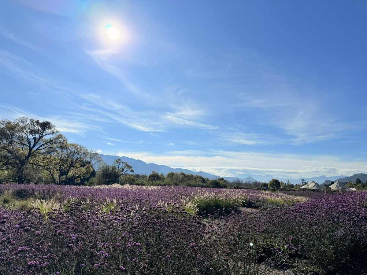 Have a happy weekend everyone! 😄