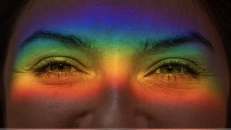 herechigoes's tweet image. 