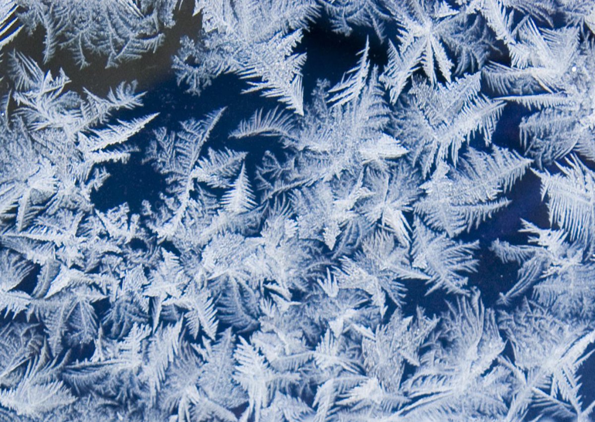 herechigoes's tweet image. 