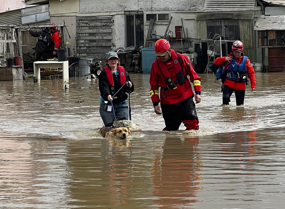 When disaster strikes, trusted local reporting saves lives.

Support our newsroom this NewsMatch season and keep your community informed: 
bit.ly/LNM-NewsMatch2…

#EmergencyPreparedness #LocalNews #NewsMatch