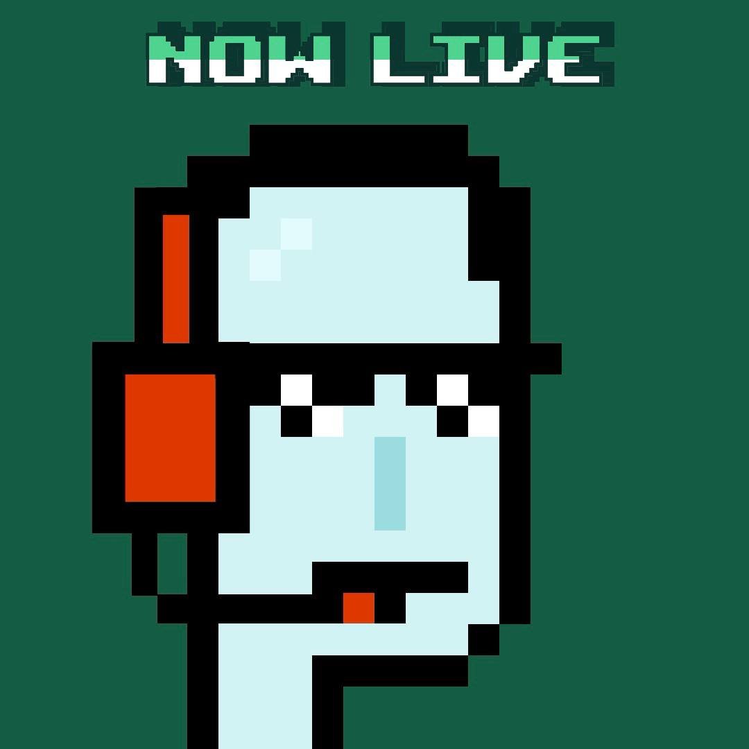 PUMP PUNKS tweet media