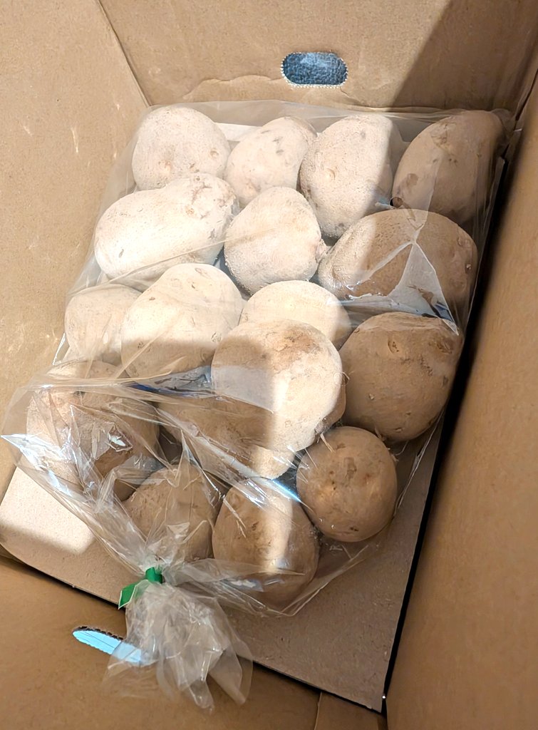 ぽてちページ No Sugar Added on X