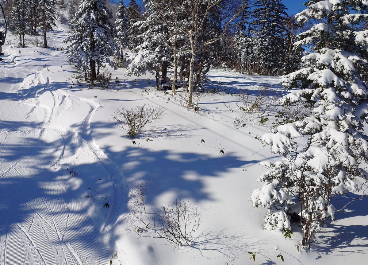 おもち＠レジャー on X