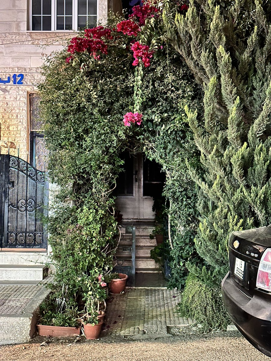 على كثر ما أحب التطور والتكنولوجيا وازعاج المدن بنفس القدر أحنّ للقرى وللعزلة الهادية بعيد عن أصوات السيارات هناك لما تمشي على رجولك طول اليوم تحس إنك ترجع لنفسك كأنك تتنفس حياة أبسط وأنقى