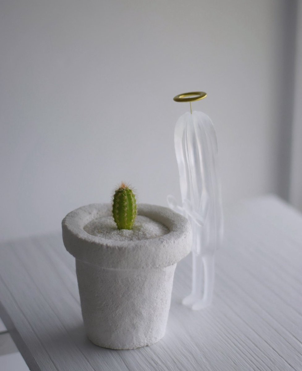 𝗘 𝗰 𝗵 𝗶 𝗱 𝗻 𝗮 (@echidna_jin) / Posts / X