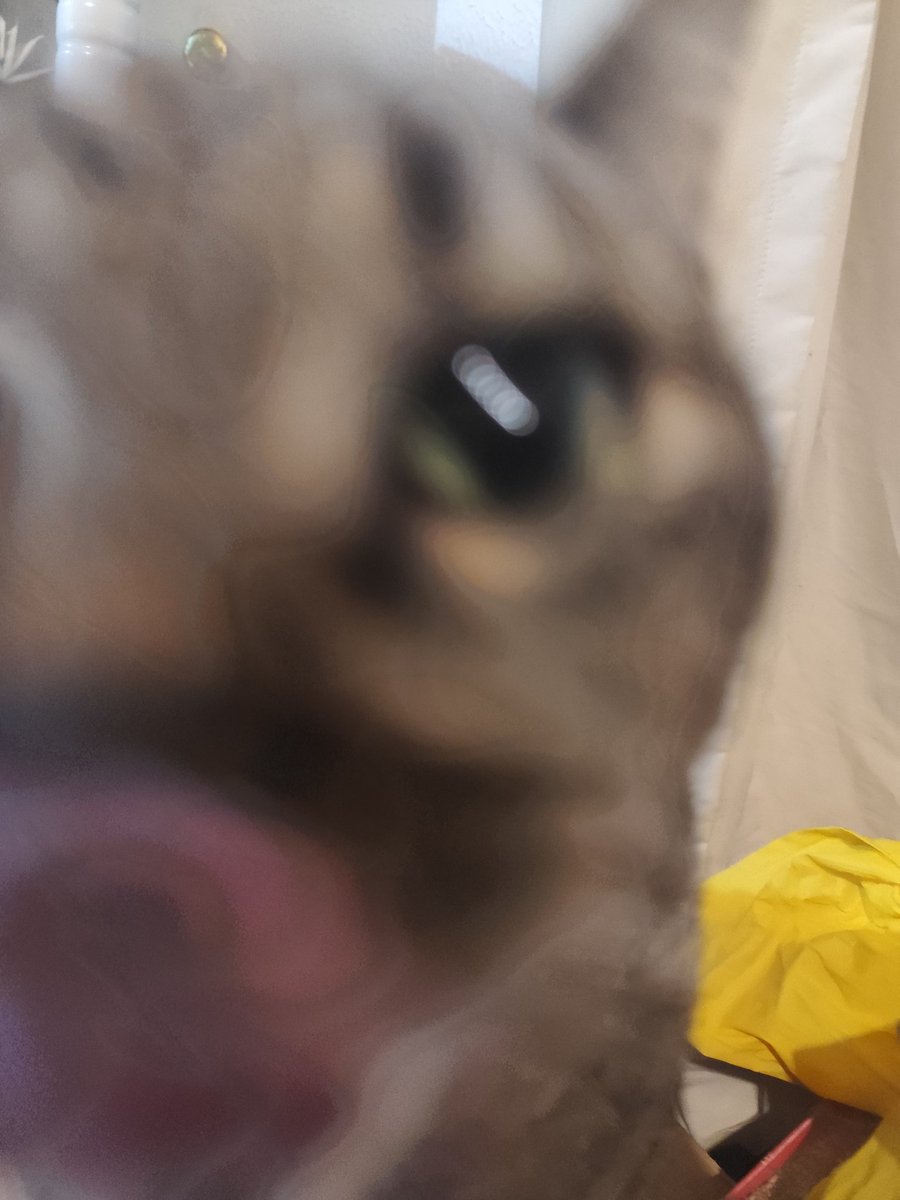 abrc666666's tweet image. zoop jumpscare #zoop