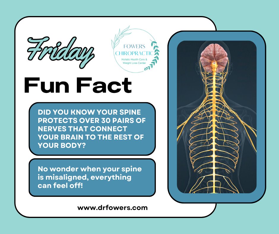 Fowers_Chiro's tweet image. Happy Friday from Fowers Chiropractic — keep that spine happy this weekend! 💙

#FridayVibes #FowersChiropractic #SpineFacts #CitrusHeightsWellness