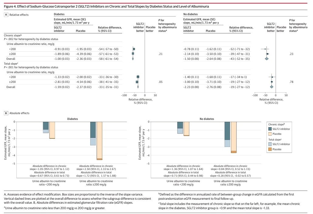 En este metanálisis con 58 816 pacientes usuarios de iSGLT2, agrupados en grupos con DM y sin DM, RAC ≥ 200 mg o < 200 mg/g. 
🎯Se evidencio beneficios absolutos en eficacia renal, menor hospitalización y mortalidad independiente de tener o no DM, o de tener albuminuria mayor o