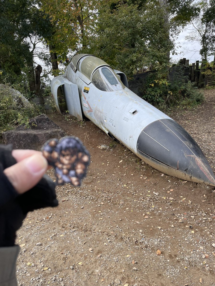 わっしょ (@over_wassyoi) / Posts / X