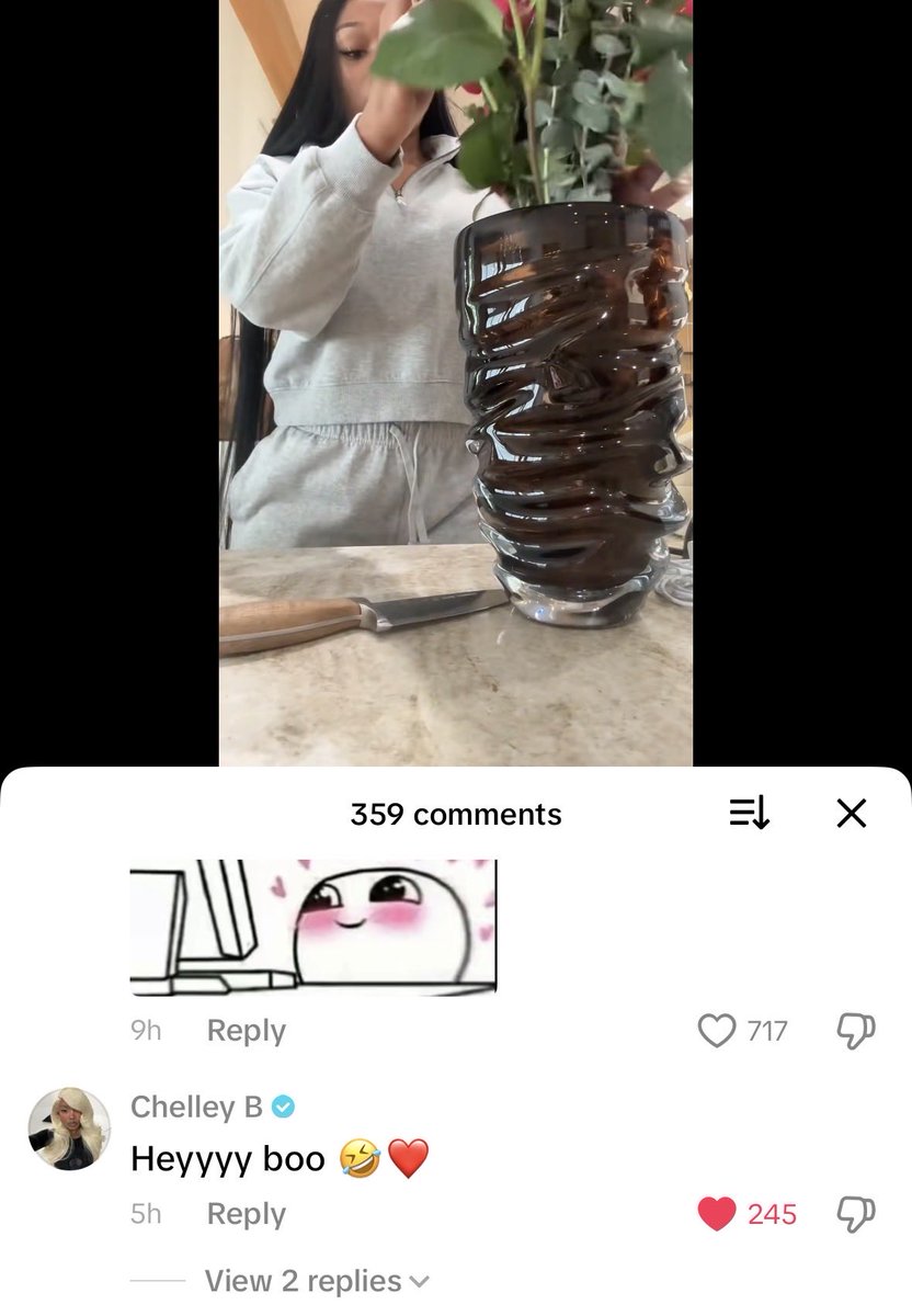 aw chelley commenting on megan’s tiktok ♡