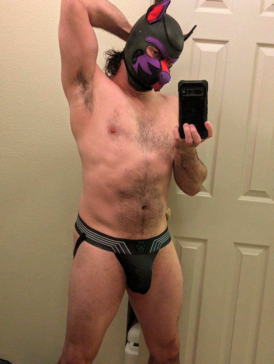 Pup Fuze tweet media