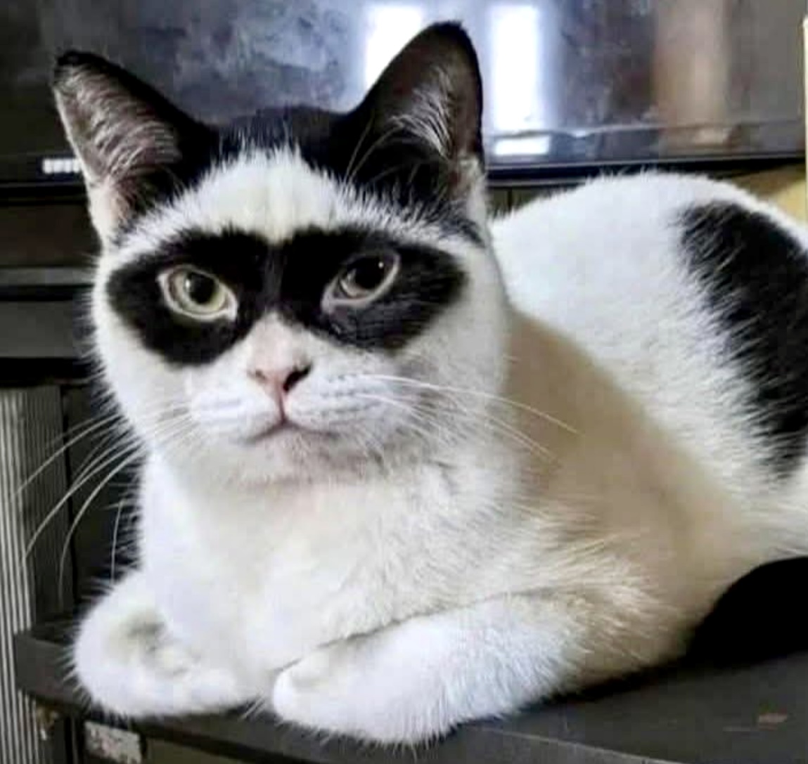 Denise 🇺🇸 tweet media