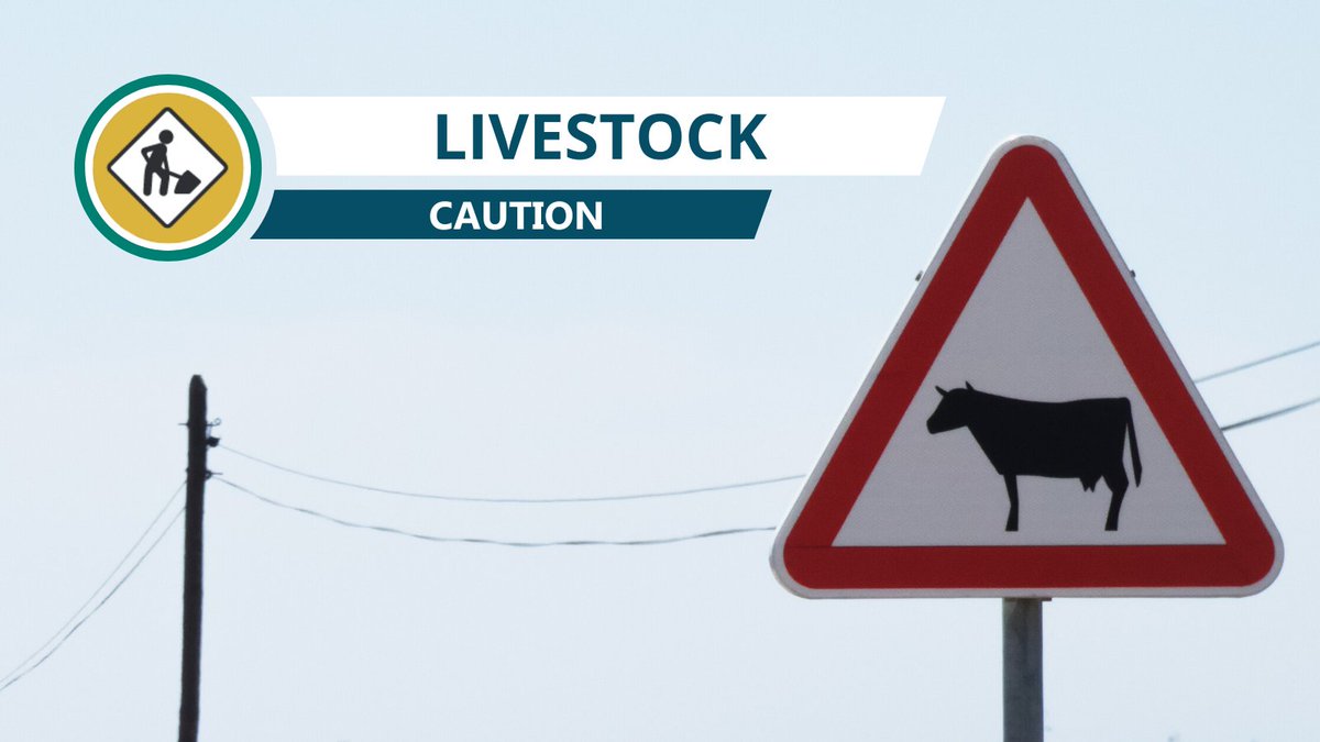 Albany Hwy EXERCISE EXTREME CAUTION near Burk Service Station, Beaufort River due to Livestock
#waroads travelmap.mainroads.wa.gov.au/Home/Map