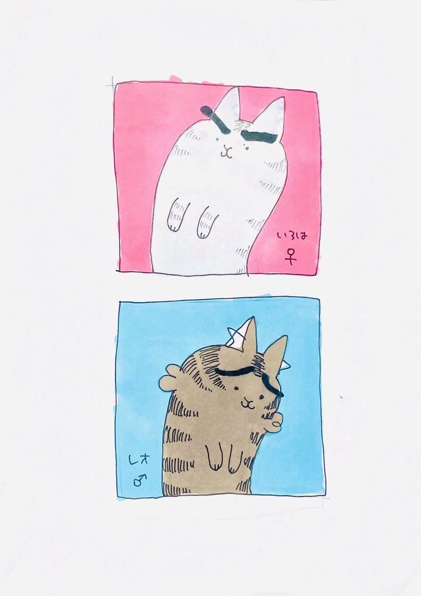 まゆげ tweet media