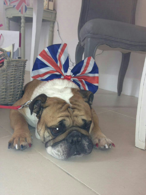 LunarSaltstice's tweet photo. #HotelHell
I just found out while watching Hotel Hell w/ my partner that Gordon Ramsay had a dog named Rumpole and I thought that was so cute then I found out that the dog passed away in ~2019
Can someone clarify how the dog's face changes please thanks https://t.co/9pR3deAADX