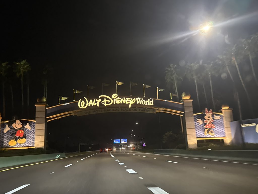 Linny ⚡️ tweet media