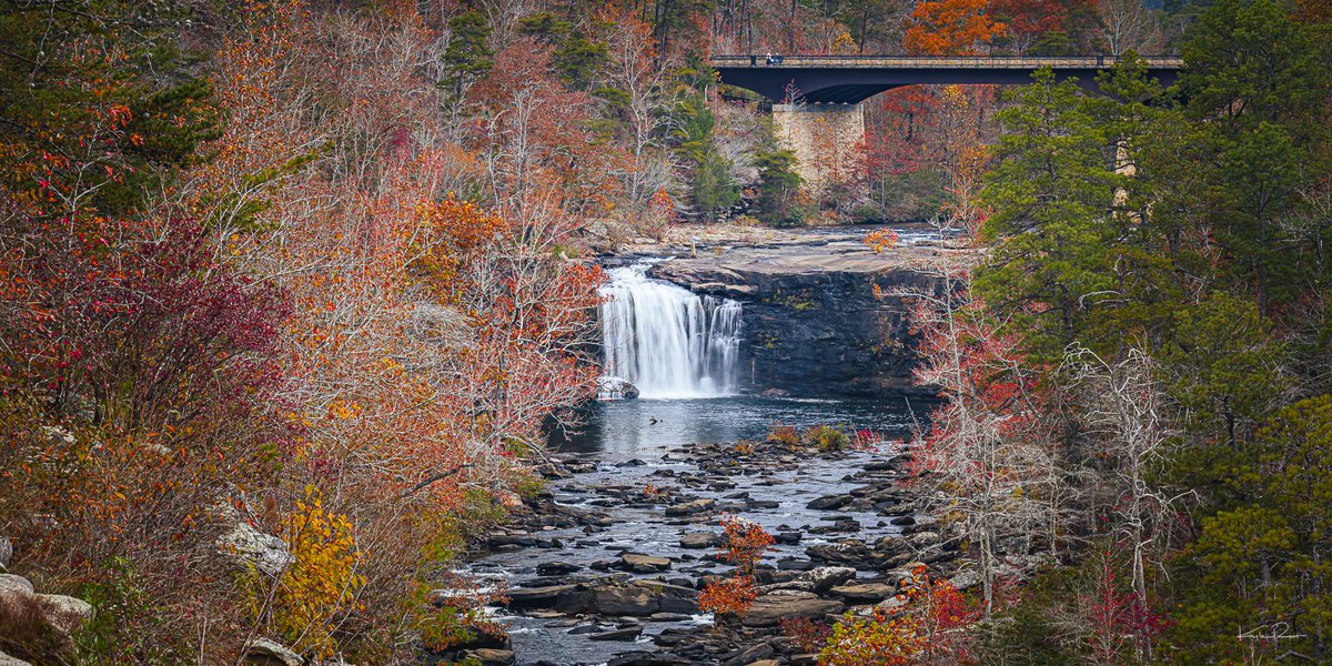 kylerootimaging's tweet image. Still a little bit of color left at Little River Canyon over by Ft Payne AL today! Turkey vultures flying at eye level was not expected! Guessing storms tonight will remove a lot more leaves from those trees. #valleywx #fallcolors #nikon @spann