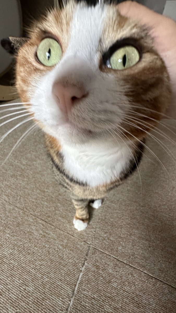 v2soo2's tweet image. 