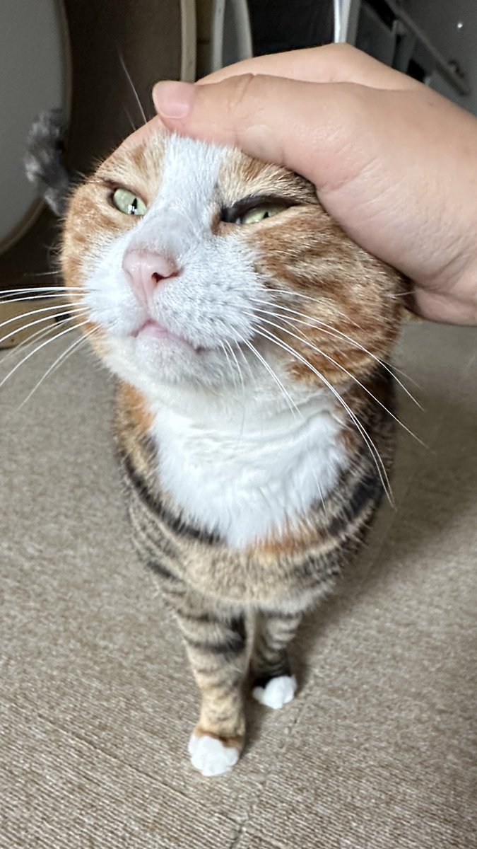 v2soo2's tweet image. 