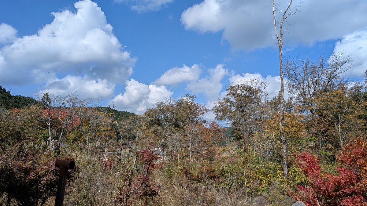 なんか、ポカポカですね〜
今月、22日は太鼓演奏の為、オープンが遅れるかもです。
詳細わかればまた連絡します。
て事でOPEN〜