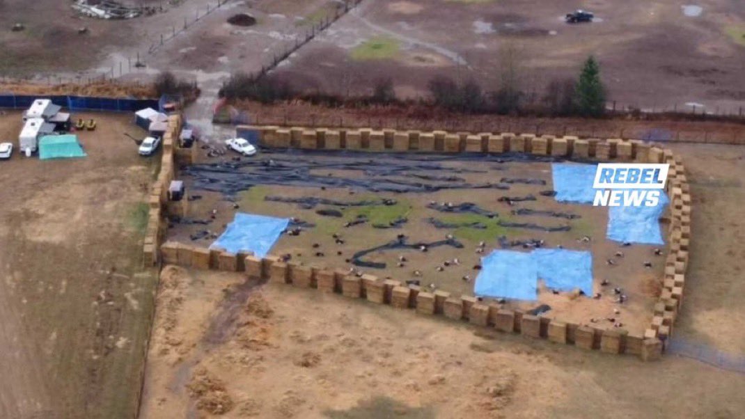 thevivafrei's tweet image. The government of Canada wants dissident Canadians to be the ostriches in this photo.

Understand that.

Digest that.

And never forget that.