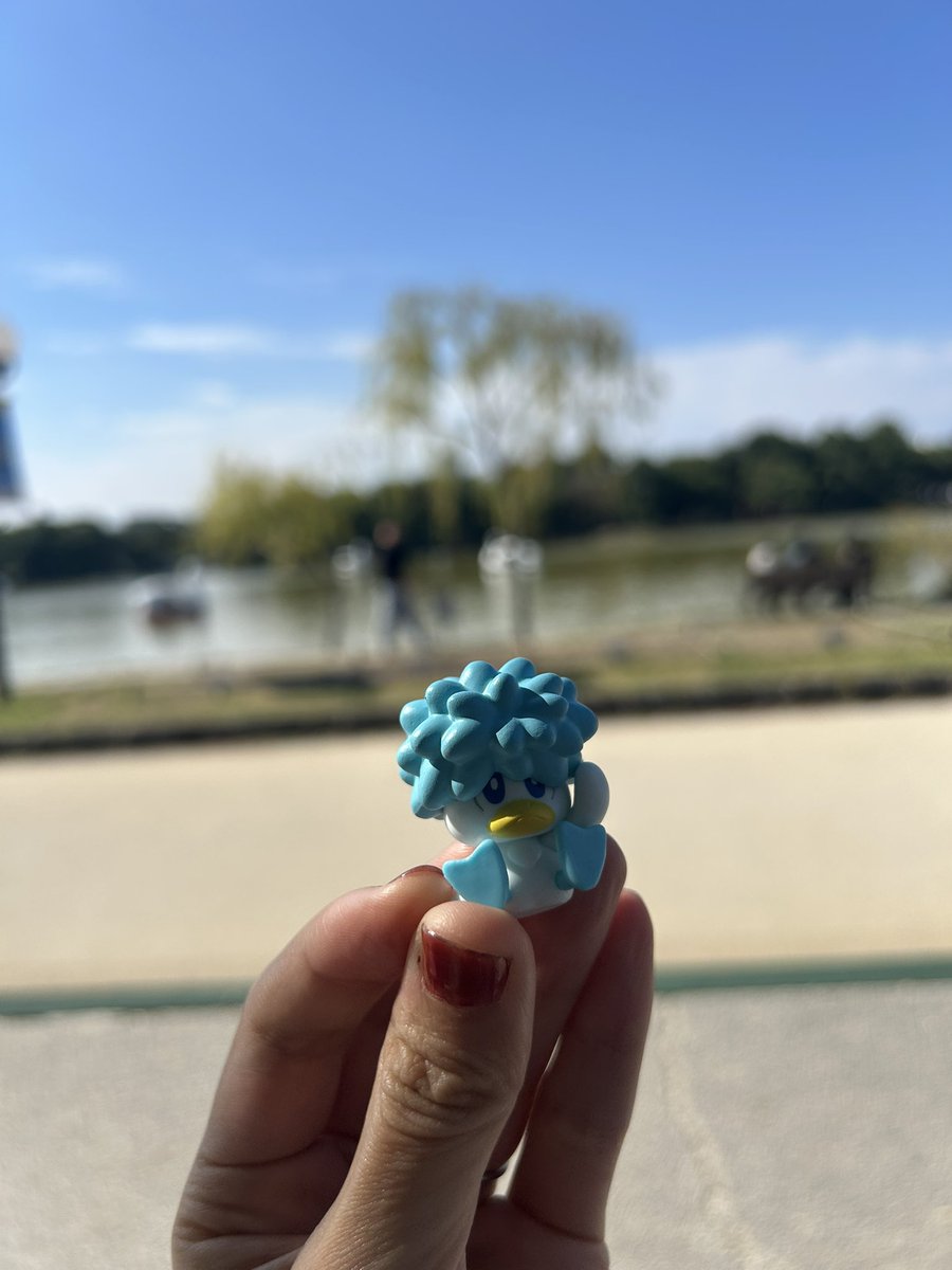 大濠公園でゲットしたクワッス見て！！！