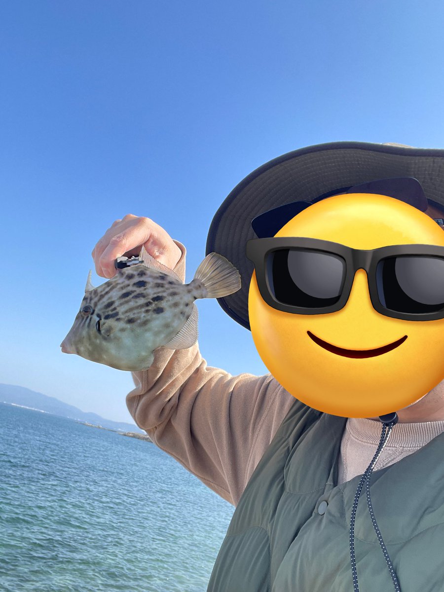 ちゃび (@2635Chabi) / Posts / X ちゃび (@2635Chabi) / Posts / X