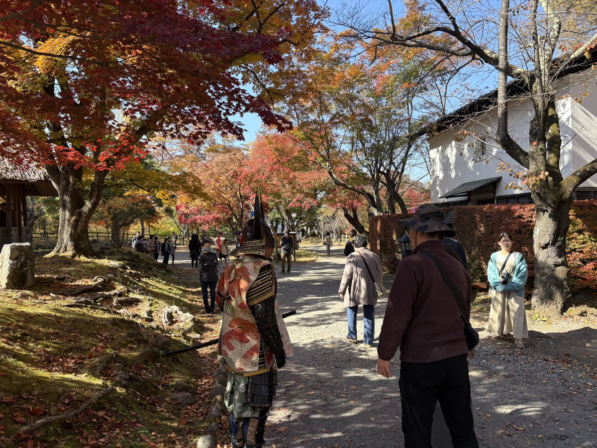 884tai1's tweet photo. #侍フォト 

天気も最高、紅葉も最高、侍も最高です！！！

#懐古園
#小諸懐古園 https://t.co/vVDf60lvvR