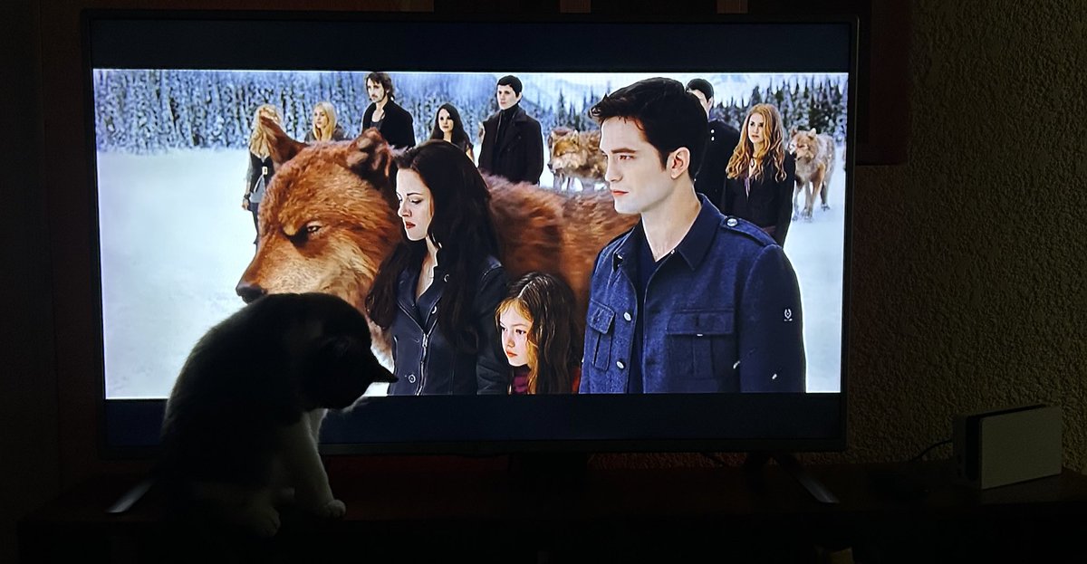 Andreaaapaa's tweet image. En efecto, es cine