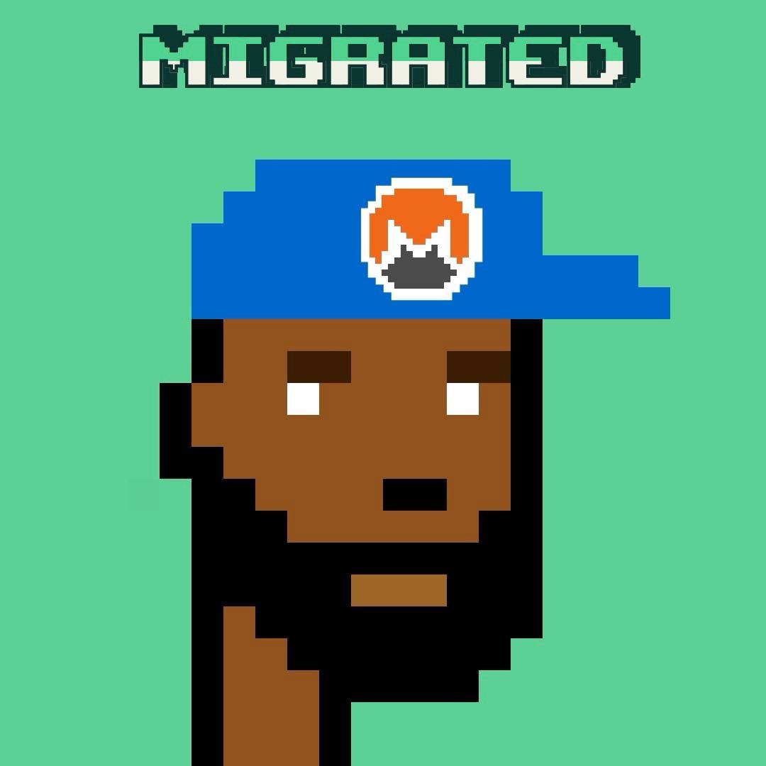 PUMP PUNKS tweet media