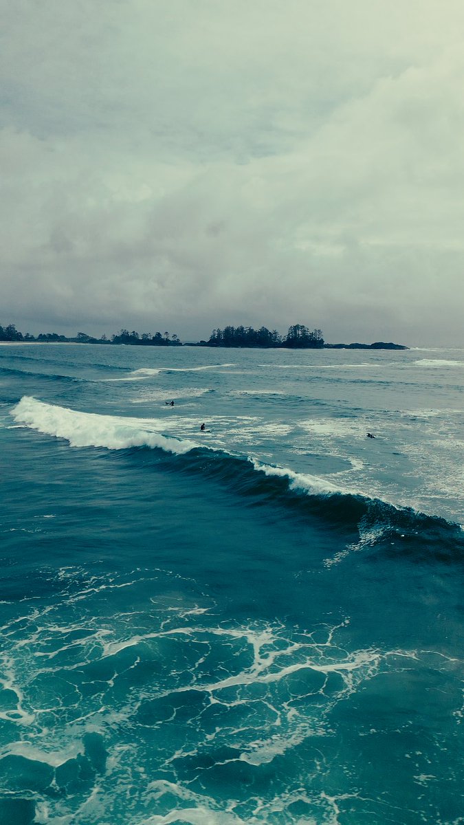 roshchristian's tweet photo. If you're in your 20s

And you're unhappy with no drive and no purpose.

Do yourself a favor.

Buy a one way ticket to go see the world.

With this alone, you'll multiply your opportunities in life 10x than what you would've had in your hometown.

Thank me later. https://t.co/Bul6gbz5sx