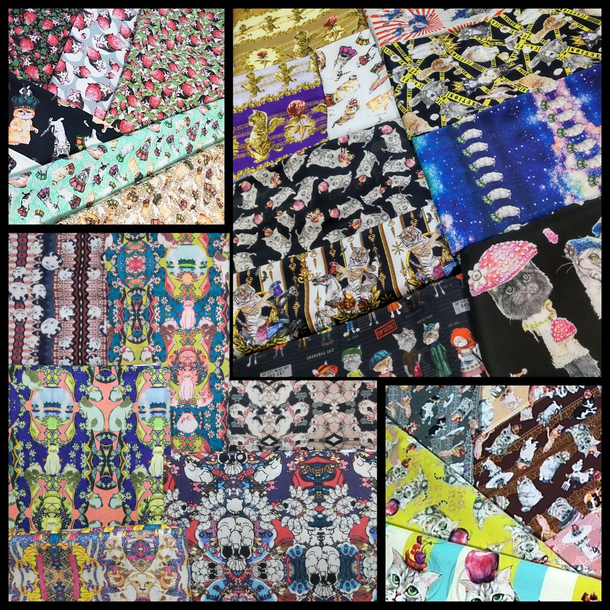 虹猫本舗 カオリ【デザフェス I-237.238.239】 (@nijinekohompo