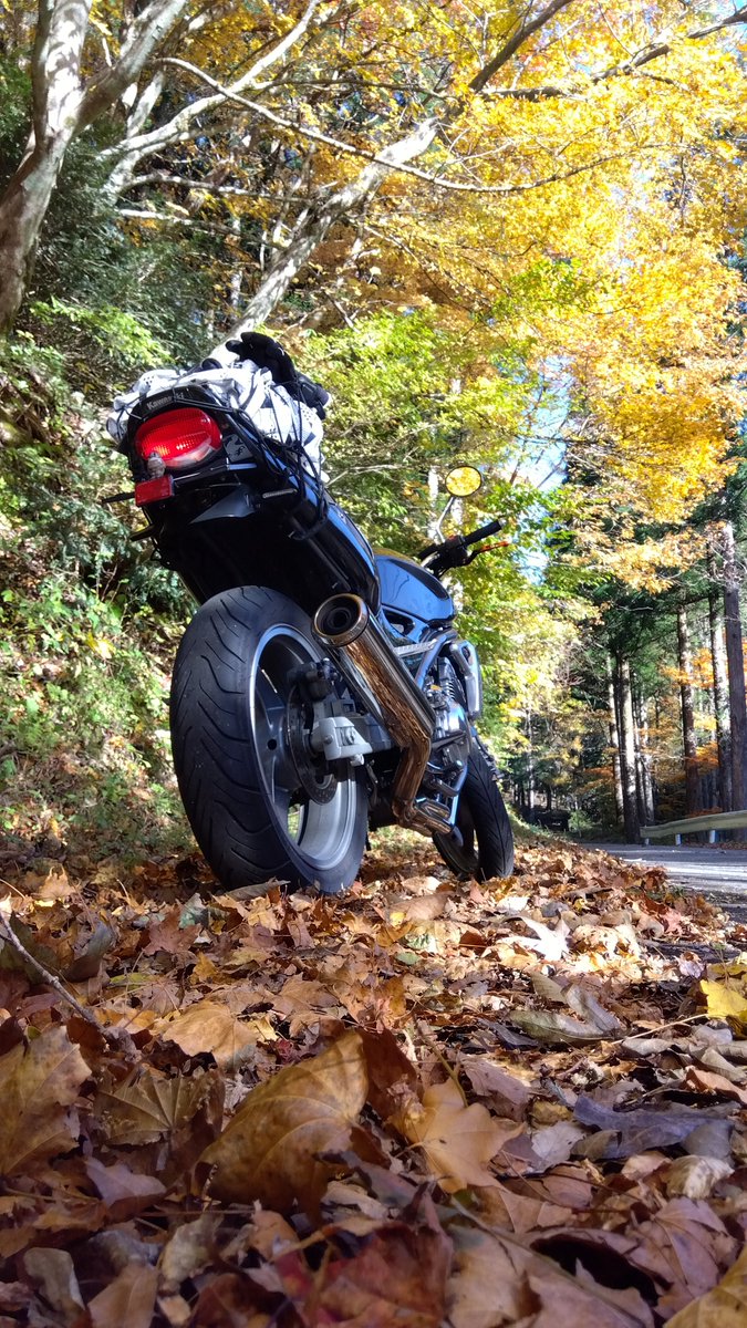 せせらぎ街道 秋真っ盛り🍁🏍️