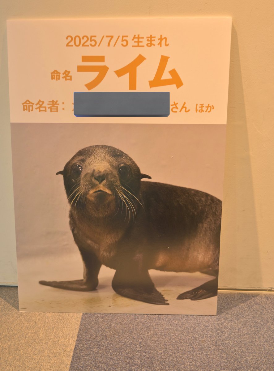 ヒロサキ🦮🦭 on X