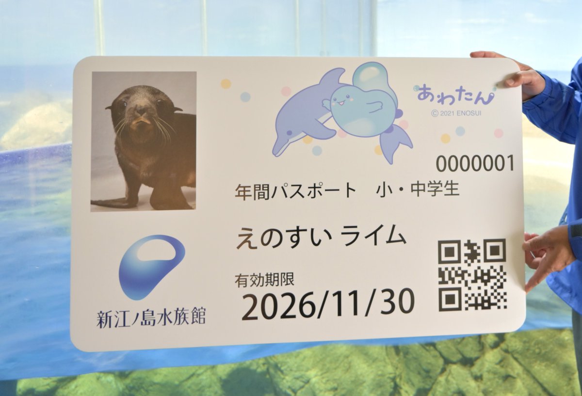 激レア流木 ヒロサキ🦮🦭 on X