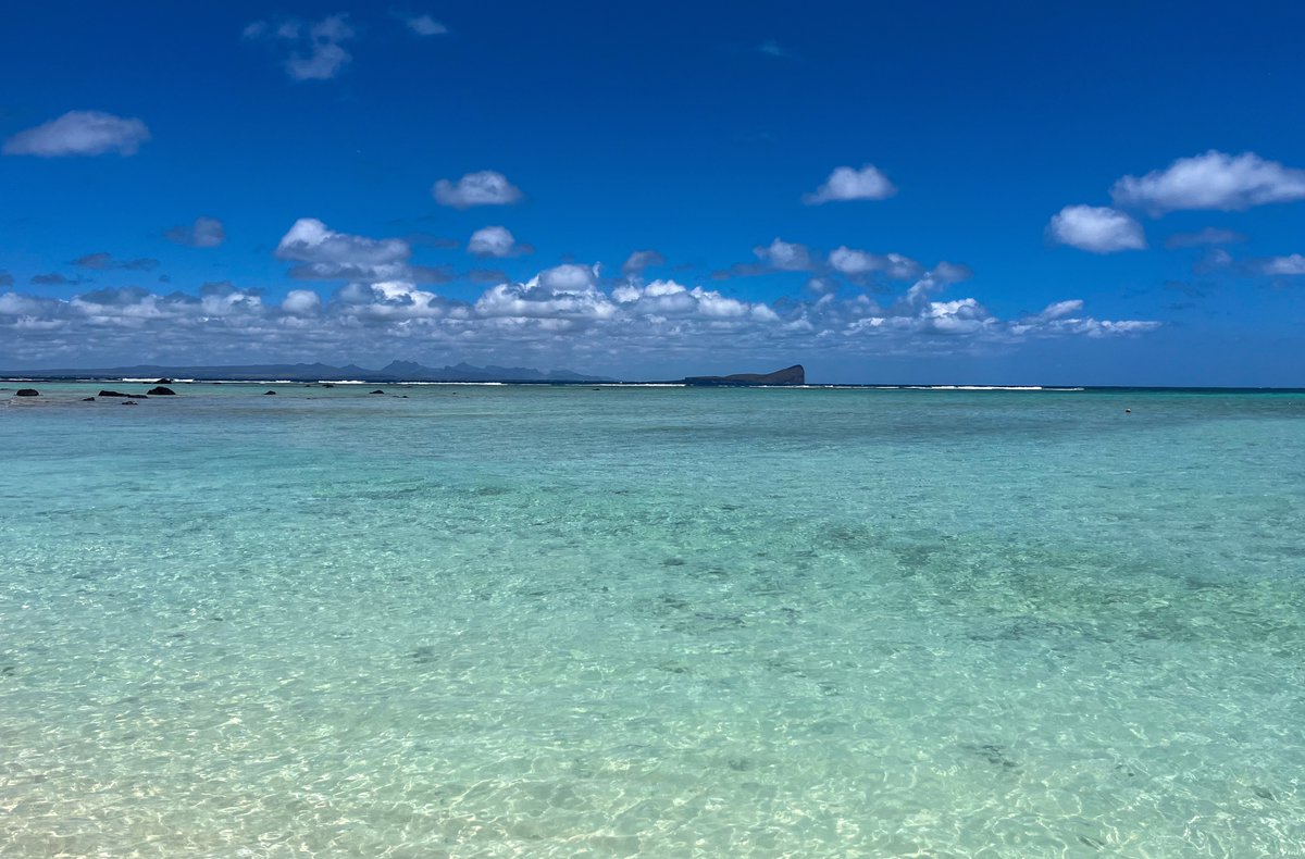parth_rkt's tweet image. 🏖️⛰️🌴🦤 #Mauritius places its past &amp;amp; present, its nature &amp;amp; history, side by side.

From lush rainforests to the poignant annals of colonialism &amp;amp; slavery, from endemic birds to endearing coastline, the island reminds &amp;amp; rejuvenates in the same breath.

traveltravailsandheck.com/2025/11/06/mau…
