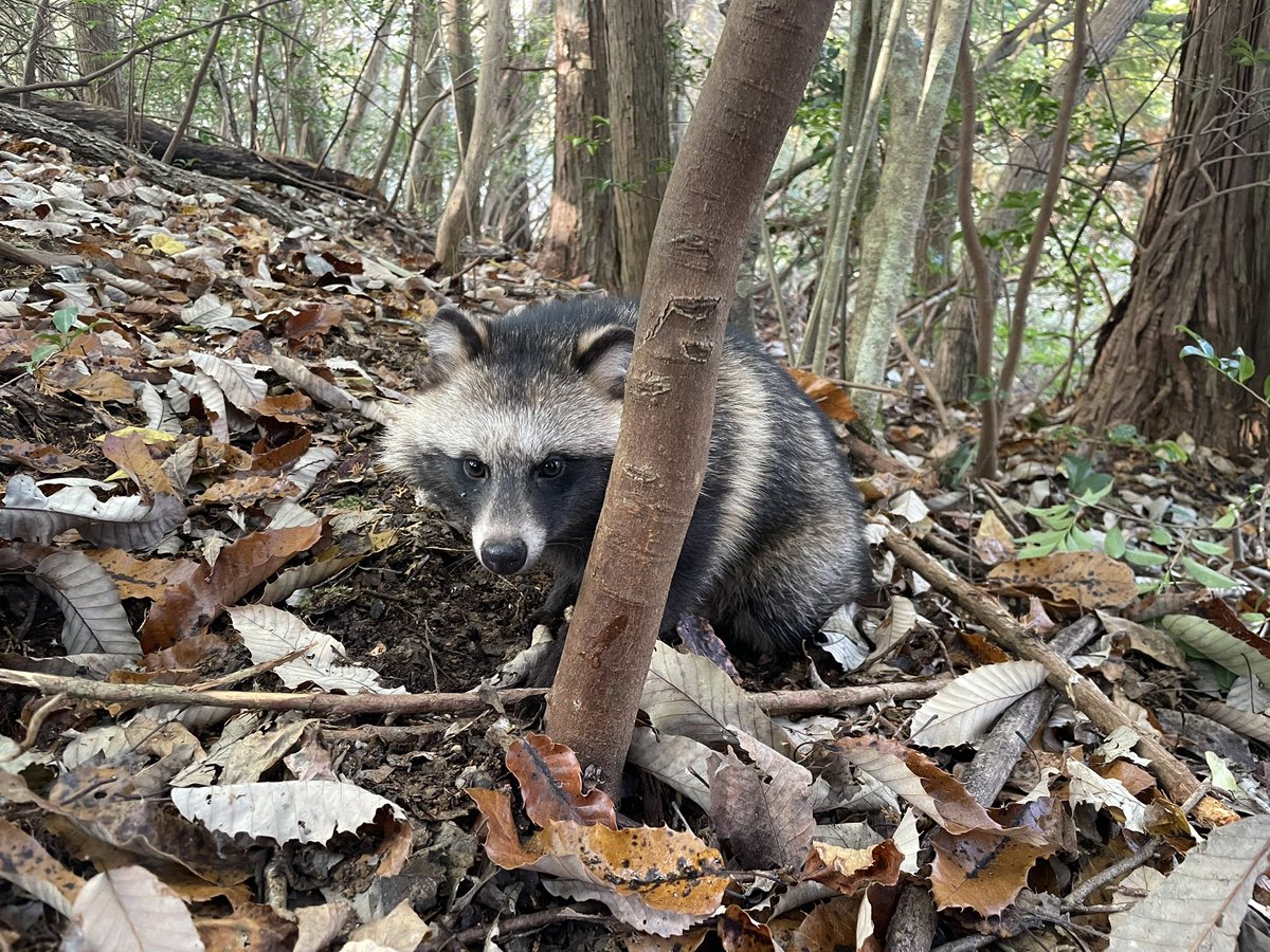 確認(ノ≧∀≦)ノ▶◀*.゜♡ 白黒 ＋ 虹色 (@4696noNIZI) / Posts / X