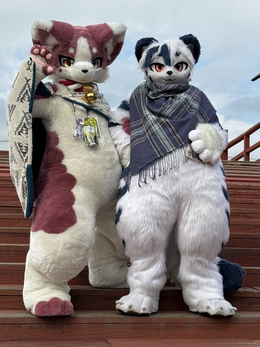 Sigma➡️kemocon on X